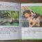 2015 best seller eco-friendly high quality recordable photo story book