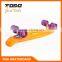2016 New Plastic Fish Skateboard