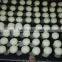 High capacity hot sale tray aligning machine