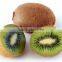 New crop fresh sweet qinmei kiwi with best price for sale                        
                                                Quality Choice