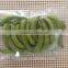 Vaccum Fried VF dried Green Beans Crisps for sale