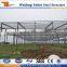 Large span cost steel strucutre frame /prefab house