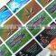Environmental clear epoxy resin sticker
