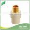 CPVC Male Adaptor pipe and fitting