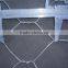 Cheap!!! hot sale Chicken hexagonal wire mesh/Hebei hexagonal mesh