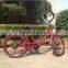 Big Power Beach Cruiser Bike with Electric Asistant