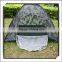 Hot selling Windproof Outdoor Camping Tent Outdoor inflatable Camping Tent