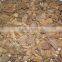 Morchella Esculenta Morel Morels Mushroom Dried Fresh Pure Natural Edible mushrooms yellow morel, true morel,Made in Turkey