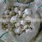 20156 new crop fresh garlic