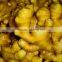 2016 New Crop HACCP Chinese Organic Fresh Ginger