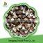 IQF frozen shiitake mushrooms cut sale shiitake