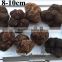 5-8cm fresh tuber indicum frozen truffle