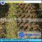 Whirlston 25hp diesel engine drive middle rice wheat soybean grain combine harvester