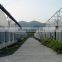 Chicken fan Agricultural ventilation fan Wall fan