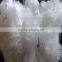 Factory!! 100% Polyester Staple Fibe/PSF