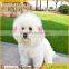 20 PCS Pet Hair Bows Hair Band Dog Puppy Cat Grooming Accessories Random Color and Style