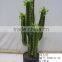 artificial cactus plant for indoor and outdoor decoration