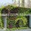 Aritifical plant wall for showing just a fake plant flower simulation wall