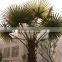 Newest design top quality artificial palm tree leaves