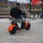 2017 newest model electric citycoco scooter with CE certificate