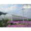 Gutter Connected Greenhouses for Agriculture