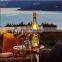 Golden Acrylic/Plastic Moet Champagne Glasses