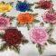Sew-On Style And Patches Product Type Embroidery Patch for Saree