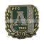 Custom gold finish custom metal hard enamel badge lapel pin