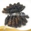 2016 9a Grade Wholesale Funmi Beyonce Curly Human Hair Extension