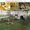 fruit and vegetable drying machine/food processing ginger dehydrator
