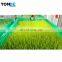 Hydroponics automatic garlic sprouting machine