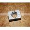 SAIC- IVECO GENLYON Truck 2403C9017 chained block