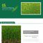 High Quality Outdoor Artificial Grass Sports Flooring 35mm Artificial Turf for Decoration