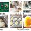 Automatic Encrusting Food Machine Filled Colorful Mochi Maker from Shanghai