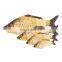 Funny plush pet toy simulation fish for cat playing