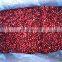 Sinocharm BRC-A Approved 5-10mm IQF Lingonberries Wild whole Frozen Lingonberry