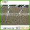 high quality Giallo Nova Venecl granite yellow granite