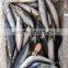Chilled pacific mackerel whole round size 200-300g