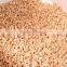 Angelon cashew color sorter machine/nut color sorting machine