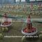 2015 New China automatic poultry chicken farm for broilers/layers