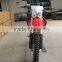 Full Size EEC 250cc Motorbike (MC-684)