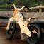 Children's balance bike, export to Germany market, high end quality