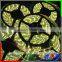 RGBW Color Professional 20-22lm/leds 5M 150pcs SMD5050 Aluminum RGB Programmable Led Strip Light