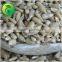 Hulled Sunflower Seed Kernel Bakery Grade