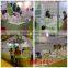 100% Virgin Pulp Facial Tissue Brands for Europe Market