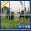 high strength pvc coated holland welded wire mesh made in china