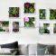 new products 2016 home decoration artificial succulent plants tropical plants