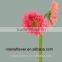 Beautiful decorative flowers without stems artificial flowers long stem with 0.6-0.8kg/bundle from Yunnan, China