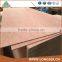 BB/CC Grade 4.8mm Plywood Standard Size Philippines