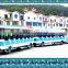 Direct manufacturer with 10 years experience in attractive amusement rides tourist trackles train